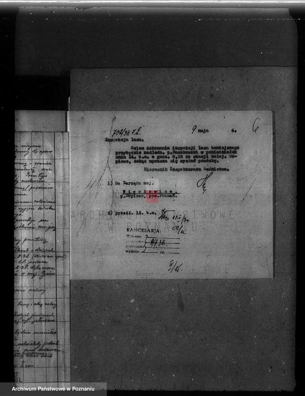 Obraz 10 z jednostki "Program gospodarczy dla lasu J. Kajewskiego w gminie Wiórek powiat poznański 1929-1939"