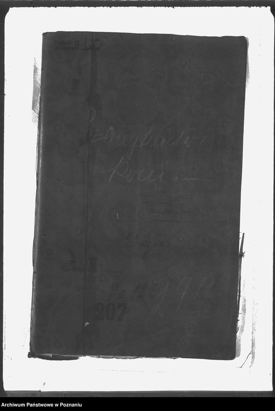 Obraz 4 z jednostki "Przemytnictwo koni"