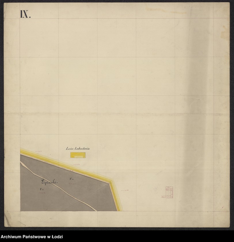 Obraz 17 z jednostki "Pierworys pomiaru territorium Miasta Tomaszowa Mazowieckiego z przyległymi gruntami i lasami do dóbr Tomaszowa należącymi ..."