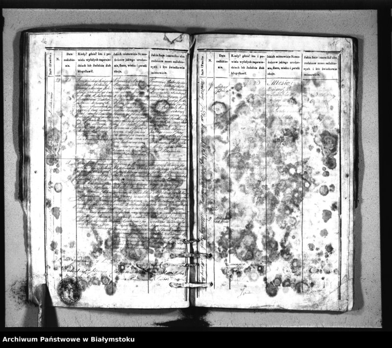 Obraz 11 z jednostki "Extrakty z metryk ślubów kościołów parafialnych w: Siemiatyczach, Ostrożanach, Dołubowie, Sadach, Niemirowie, Mielniku, Dziadkowicach"