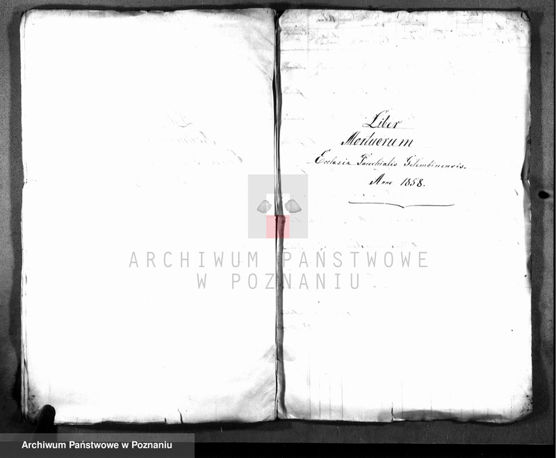 Obraz 9 z jednostki "Duplicatum baptisatorum, copulatorum, mortuorum"