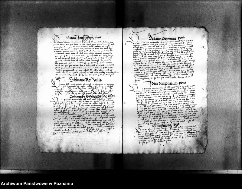 Obraz 15 z jednostki "Resignationes ,inscriptiones, relationes, decreta [protocollon]"