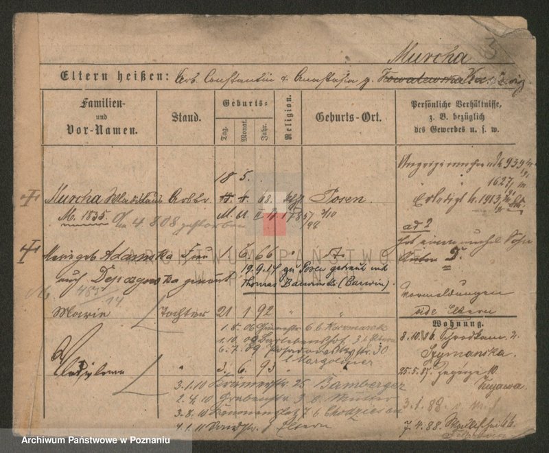 Obraz 3 z jednostki "Murcha - Musiał"