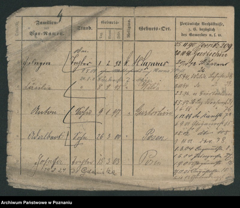 Obraz 12 z jednostki "Skrzypczak (żonaci - samotni mężczyźni)"