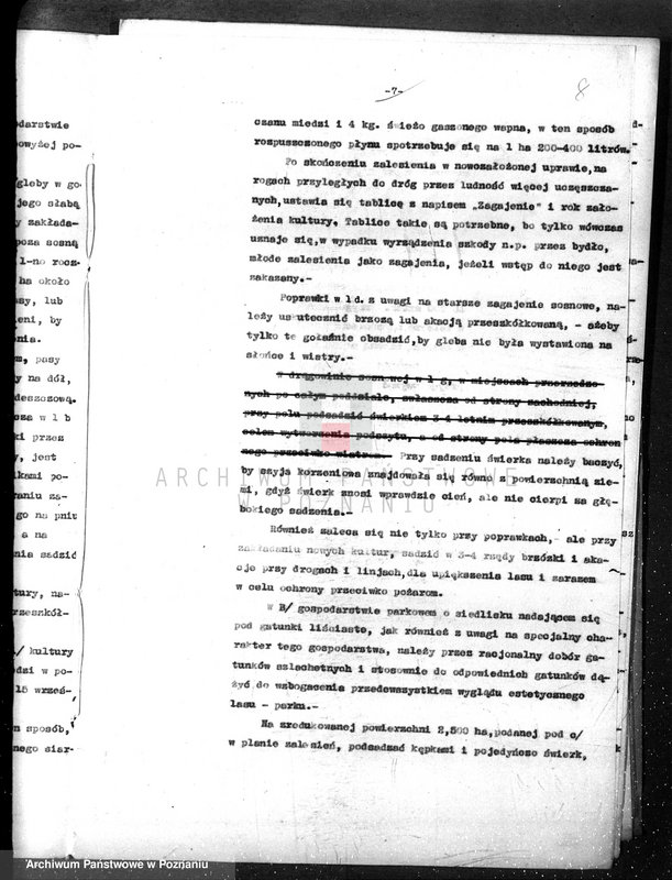 Obraz 12 z jednostki "/Nadzór nad gospodarką leśną gminy miasta Czarnkowa"