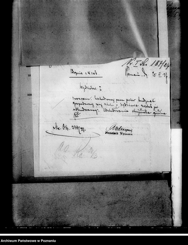 Obraz 12 z jednostki "Szkoła Powszechna- Sędzin, powiat Szamotuły"