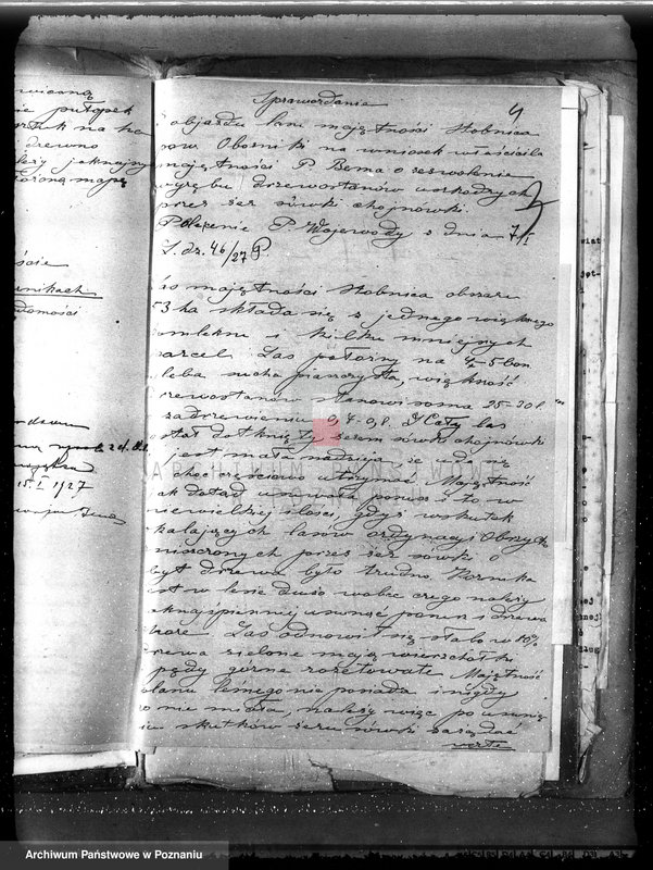 image.from.unit.number "Majętność leśna Stobnica powiat obornicki"