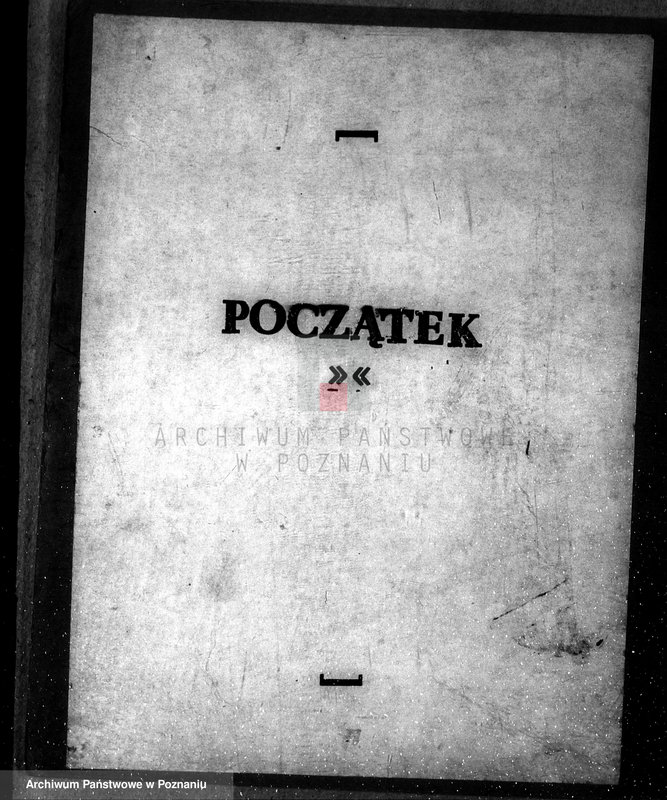 Obraz 3 z jednostki "Majętność leśna Dzięczyna w powiecie gostyńskim"