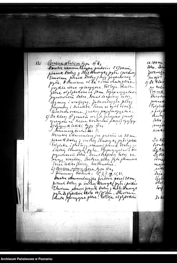 Obraz 16 z jednostki "Operat szacunkowy majątku Pawłowice powiatu poznańskiego"