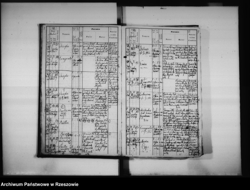 image.from.unit.number "Księga urodzeń Medynia Głogowska i Medynia Łańcucka"