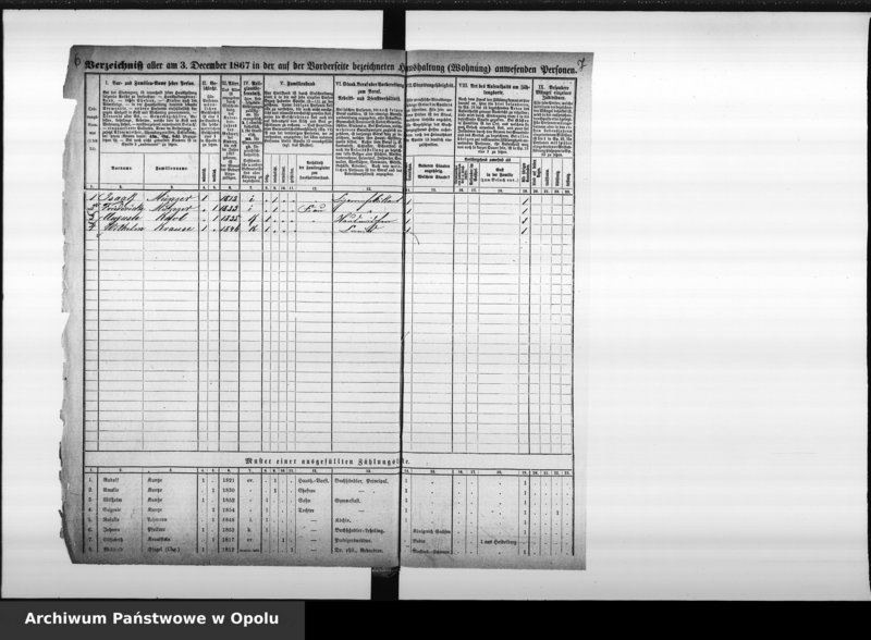 Obraz 8 z jednostki "Zählbezirk 9 [Spis ludności, 1867]"
