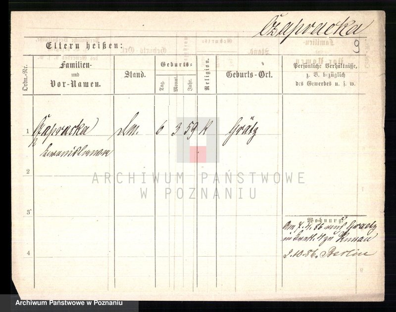 Obraz 11 z jednostki "Czapnik - Czarnecki"