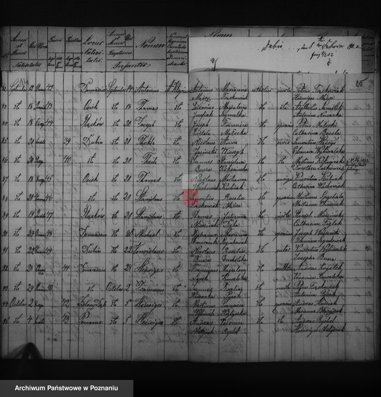 image.from.unit.number "Duplikatus baptisatorum, copulatorum, mortuorum"