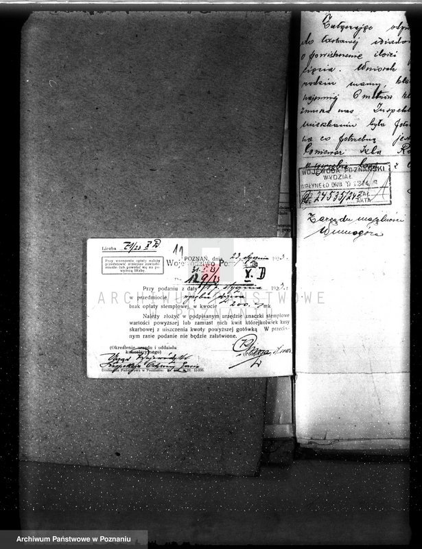 Obraz 15 z jednostki "Nadzór nad gospodarką w lasach majętności Bronisław"