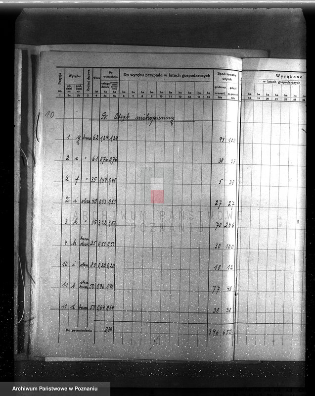 image.from.unit.number "/Szczegółowy plan zalesień i cięć lasu dla majętności Rudki powiat szamotulski 1929-1939"