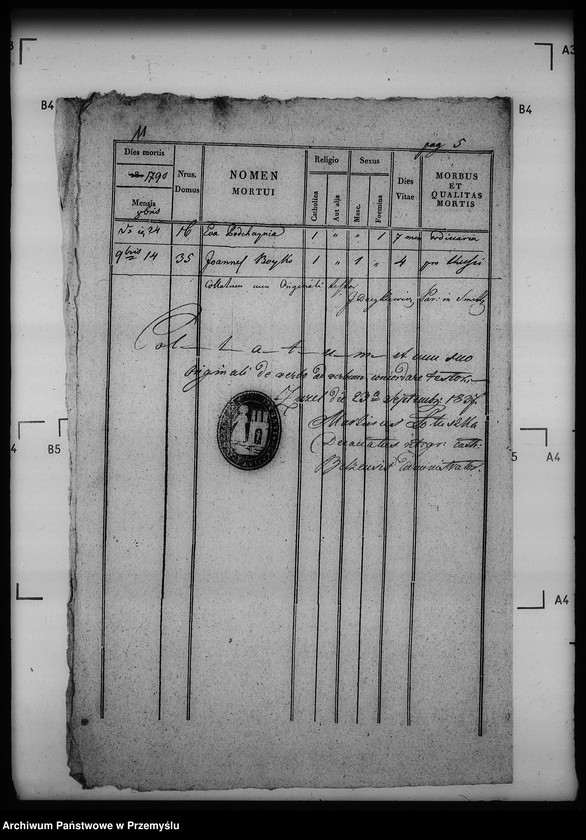 Obraz 16 z jednostki "[Kopie ksiąg metrykalnych parafii Szmitków z filiami Moszków, Sawczyn (dekanat Bełz)]"