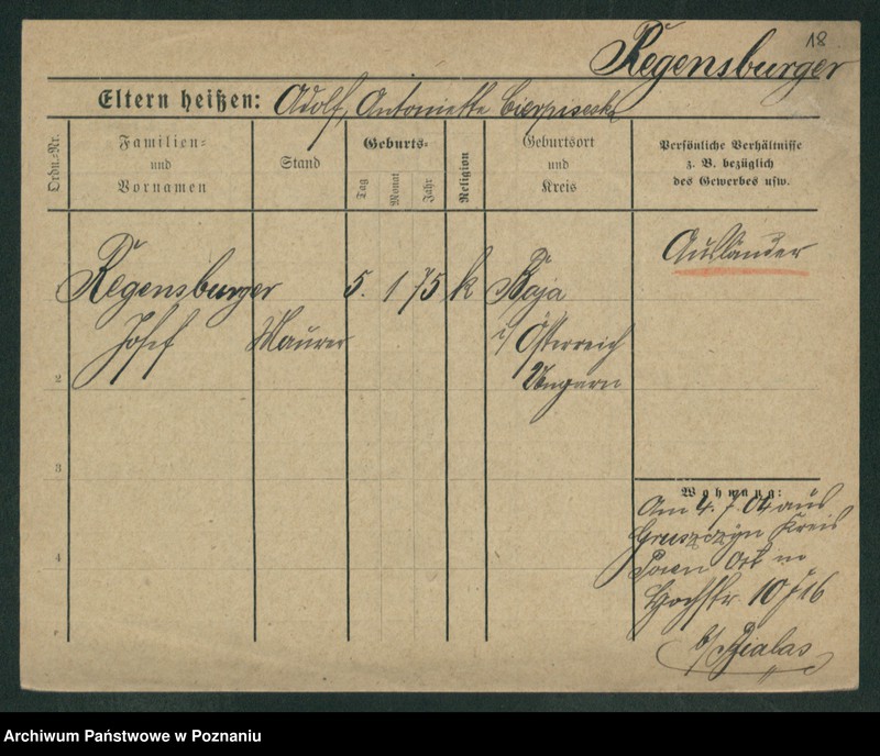 Obraz 20 z jednostki "Regenberg - Relewicz"