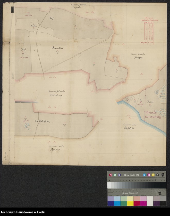 Obraz 3 z jednostki "Odrys pomiaru przestrzeni leśnej Charłupia Wielka ... w powiecie sieradzkim położonej"