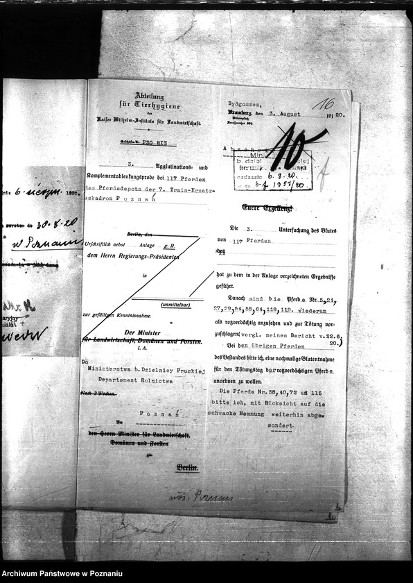 Obraz 20 z jednostki "Nosacizna - Poznań Miasto"