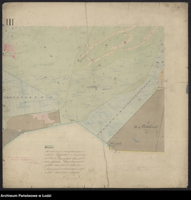 Obraz 11 z jednostki "Pieroworys Urządzenia Majoratu Radziechowice składający się z folwarków Radziechowice i Dąbrówka, Kolonii Radziechowice Brodowe i Dąbrowka, osady Czerkowizna, młyna Klekot oraz lasów przyległych ..."