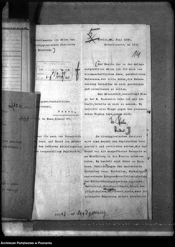 Obraz 18 z jednostki "Instytut Higieny Zwierząt w Bydgoszczy"