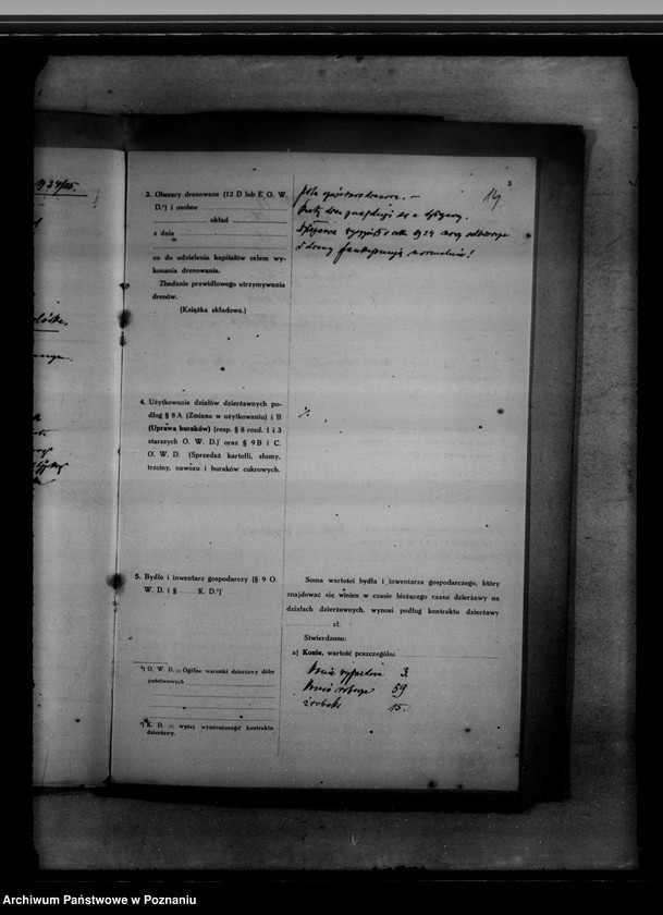 Obraz 18 z jednostki "Rewizje domeny Łęka"