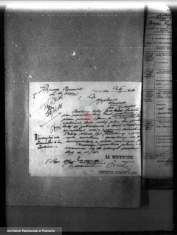 Obraz 9 z jednostki "Majętność leśna Mniszki w powiecie międzychodzkim"