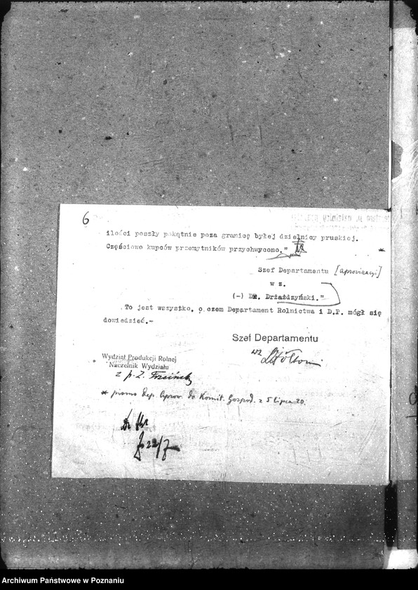 Obraz 10 z jednostki "Ziemiopłody"