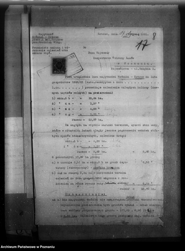 Obraz 12 z jednostki "Majętność leśna Kotowo-Wożniki powiat nowotomyski"