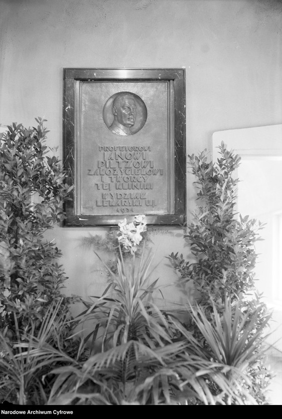 Obraz 6 z jednostki "Klinika Neurologiczno-Psychiatryczna Uniwersytetu Jagiellońskiego w Krakowie"