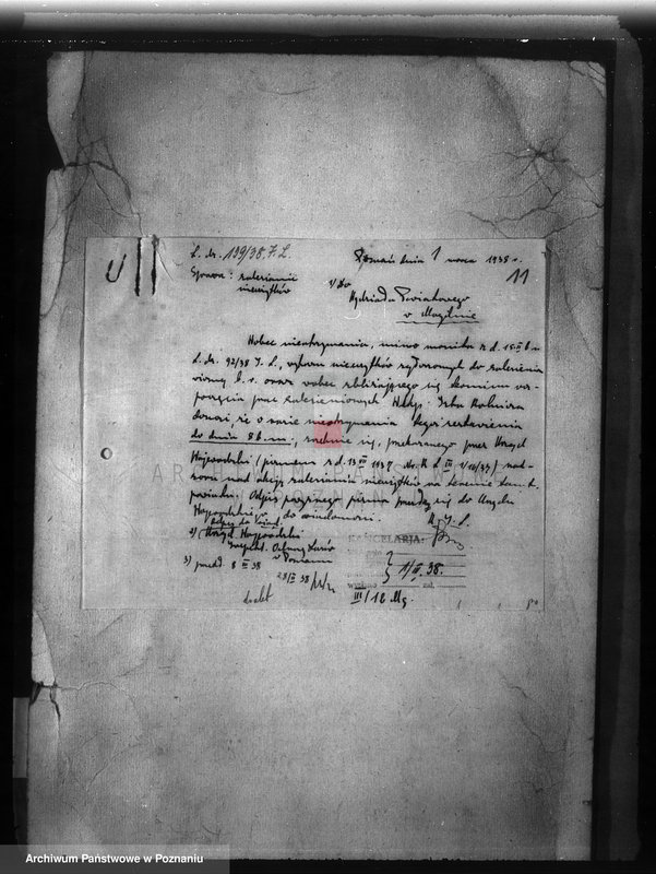 Obraz 15 z jednostki "Zalesienie nieużytków w powiecie mogileńskim"