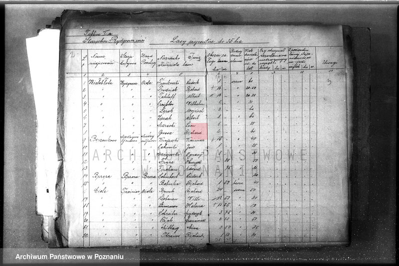 Obraz 6 z jednostki "/Lasy prywatne/ Spis według powiatów"