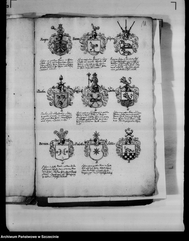 image.from.unit.number "Abbildungen von 178 adelichen grostentheils Pommern-Wappen der pommerschen adlichen Familien"