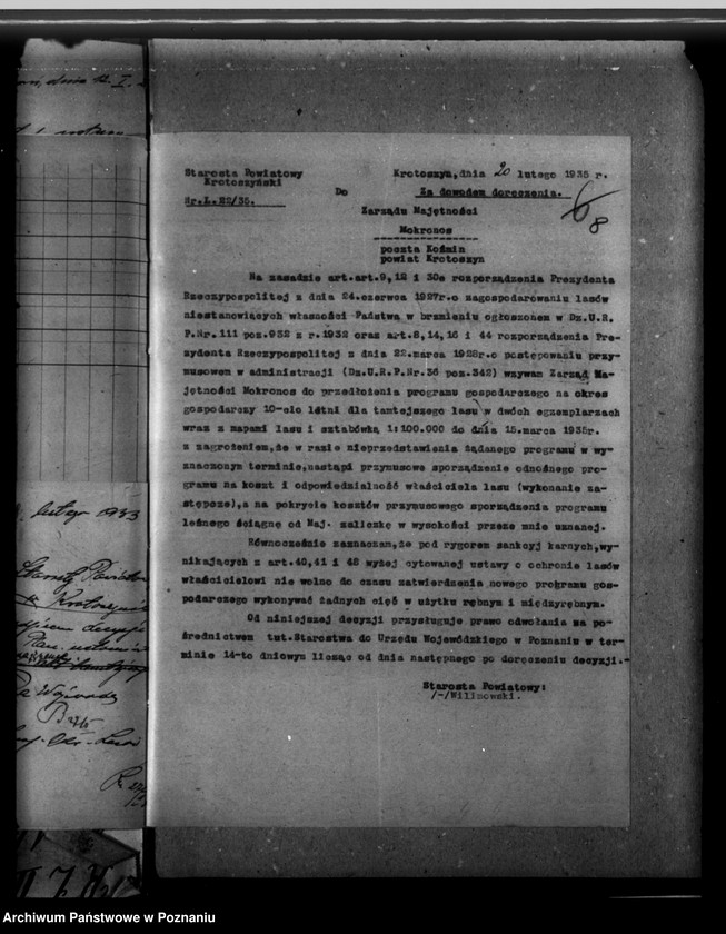 Obraz 12 z jednostki "Nadzór nad gospodarką leśną majętności Mokronos powiat krotoszyński"