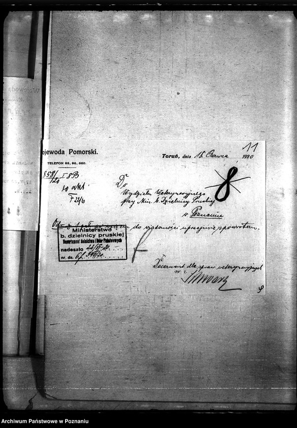 Obraz 15 z jednostki "Nosacizna - Tuchola"