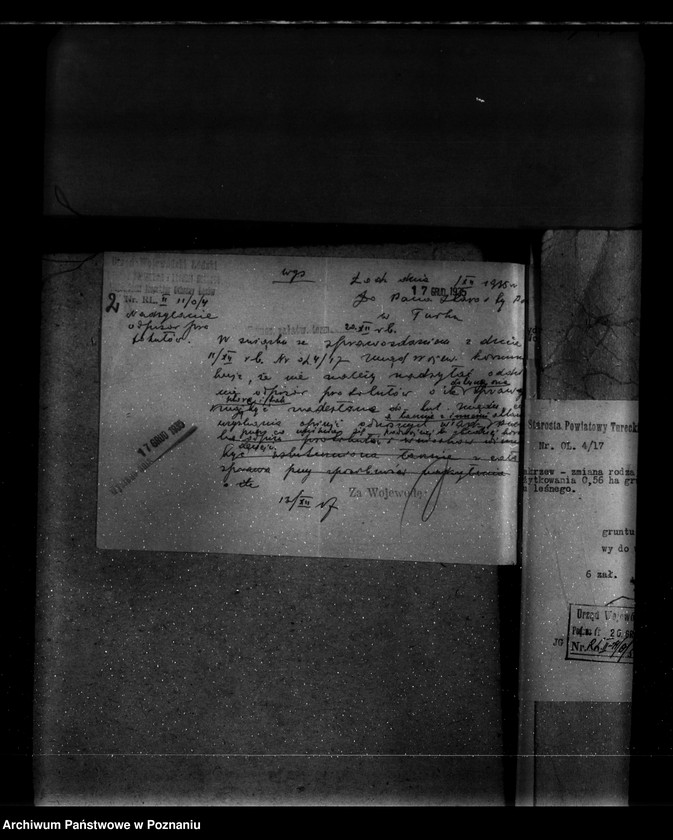 Obraz 6 z jednostki "Parcele leśne pod nazwą,,Zakrzew" powiat turecki"