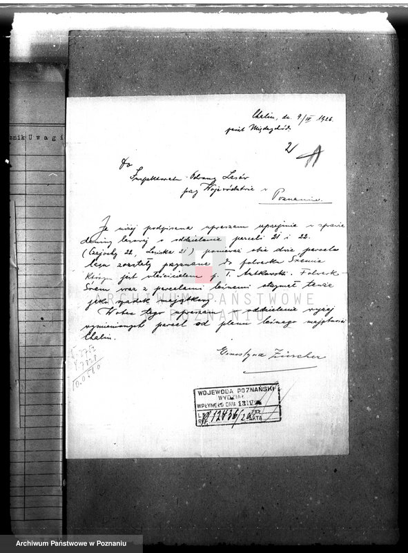 Obraz 6 z jednostki "Majętność leśna Chalin powiat międzychodzki"