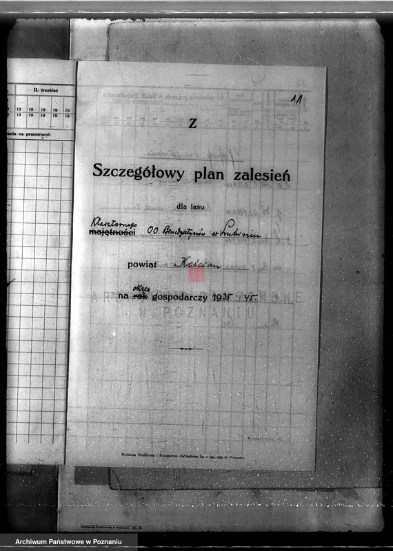 Obraz 15 z jednostki "Program urządzania gospodarstwa leśnego dla lasu klasztoru O.O Benedyktynów w Lubiniu powiat kościański"