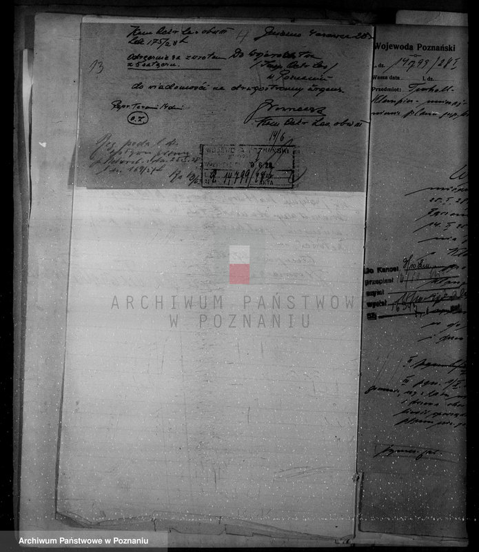 Obraz 17 z jednostki "Nadzór nad lasami/ majątku Klempicz powiatu czarnkowskiego"