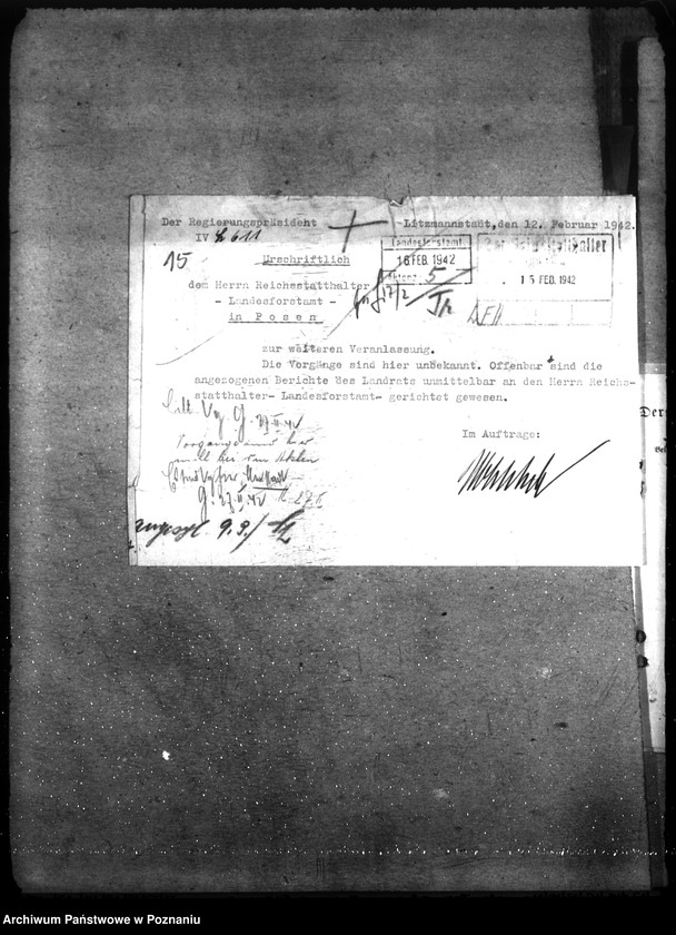 Obraz 19 z jednostki "Zarządzanie i gospodarowanie lasami gminnymi"