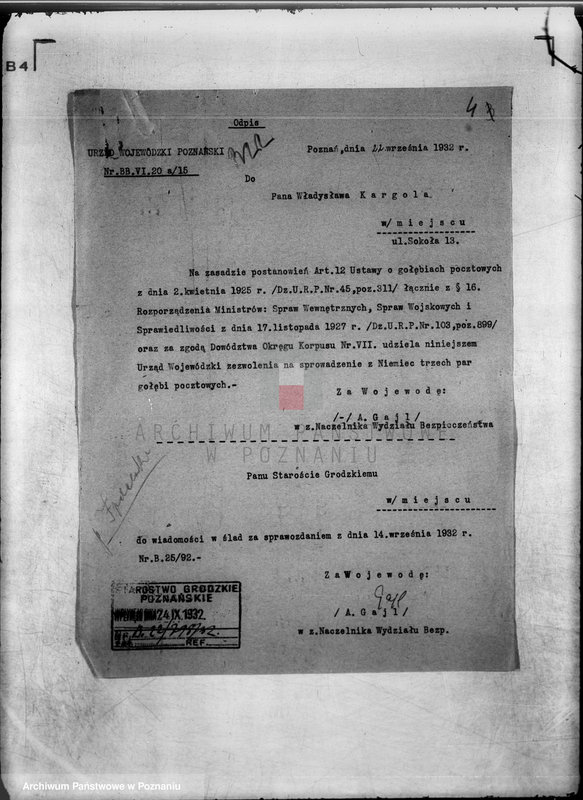 Obraz 8 z jednostki "Towarzystwo Hodowców Gołębi Pocztowych,,Lot Pocztowy" w Wągrowcu"