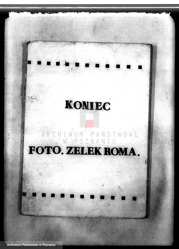 Obraz 13 z jednostki "Las majątku Krzycko Wielkie powiat leszczyński"