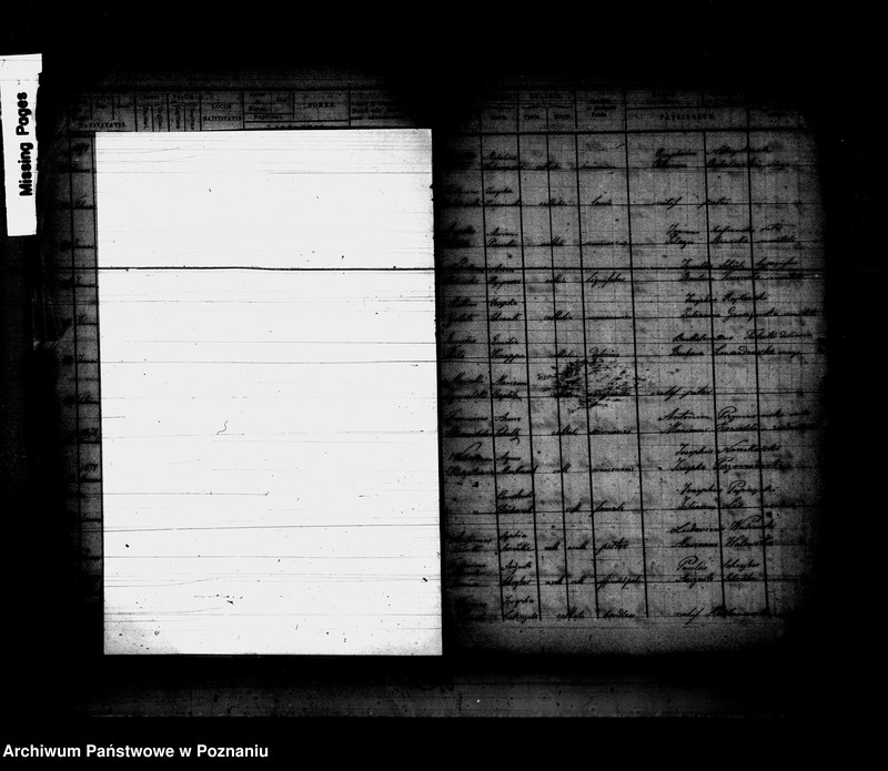 Obraz 6 z jednostki "Księga urodzeń"