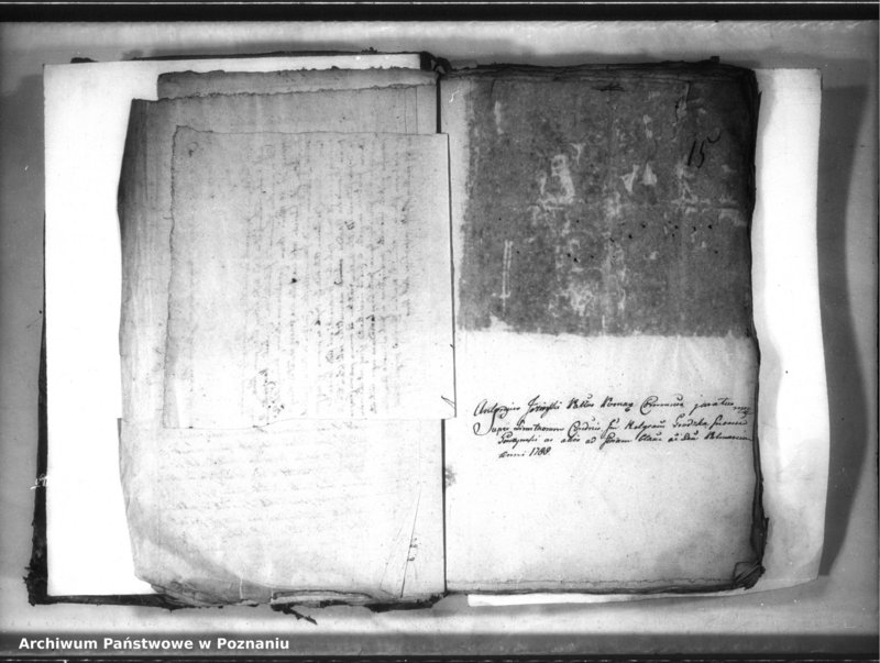 Obraz 19 z jednostki "Relationes [protocollon]"