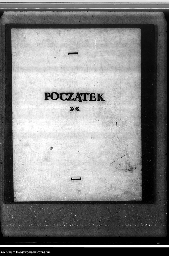 Obraz 3 z jednostki "Las fundacyjny Bodzewo w powiecie gostyńskim"