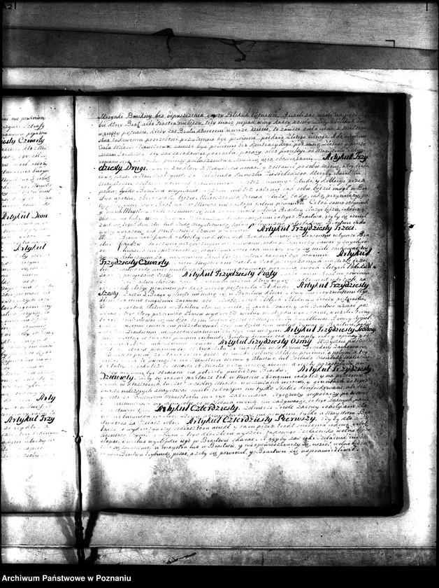 Obraz 11 z jednostki "Or. Stanisław August /Poniatowski/, król polski, transumuje artykuły cechu ciesielskiego w Poznaniu zatwierdzone 1765.7.VIII przez władze miejskie Poznania i potwierdza"