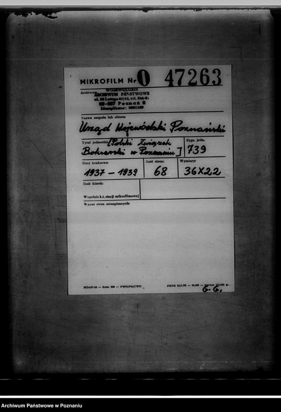 Obraz 2 z jednostki "/Polski Związek Bokserski w Poznaniu/"