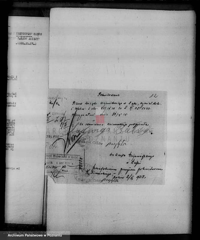 Obraz 16 z jednostki "Gmina Ceków w powiecie kaliskim nadzór nad gospodarką w lasach"