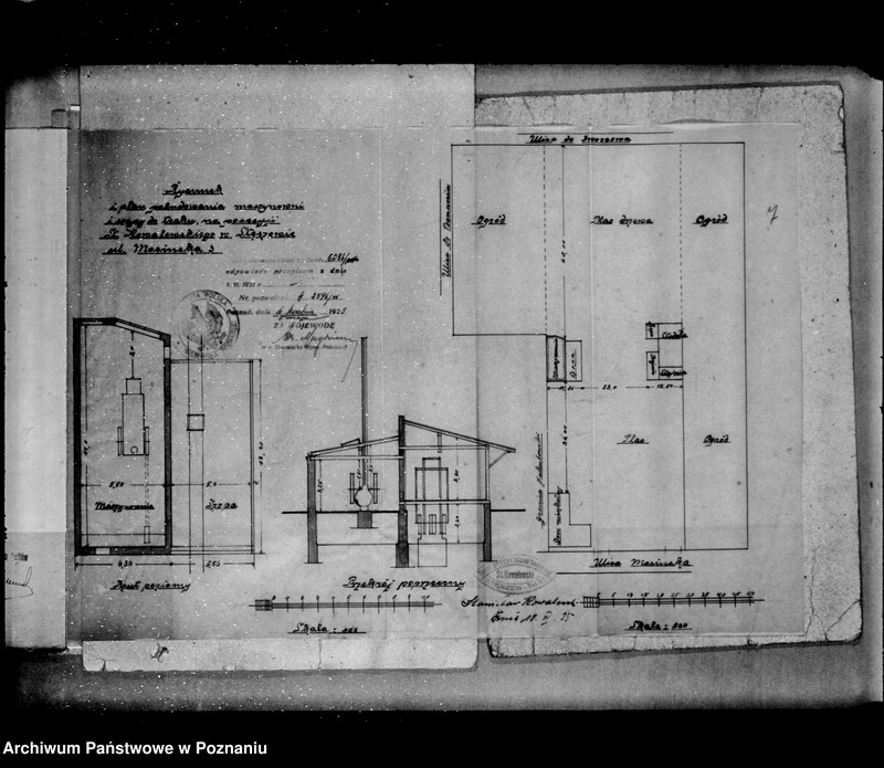 Obraz 11 z jednostki "Tartak parowy w Stęszewie powiat poznański nr woj. 693"
