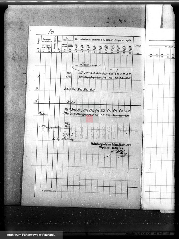 Obraz 17 z jednostki "Plan urządzenia gospodarstwa leśnego dla lasu majętności Nowy Dwór w powiecie nowotomyskim 1930-1940"